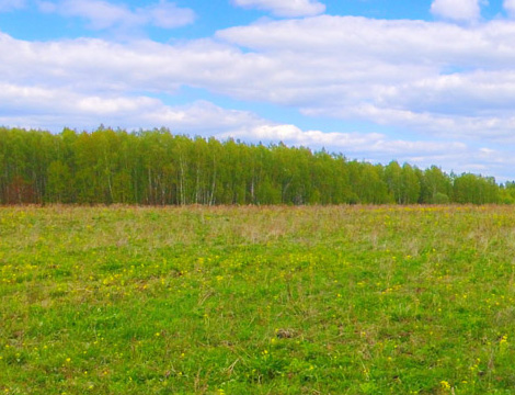 Поселок Федино Заокский район Тульская область