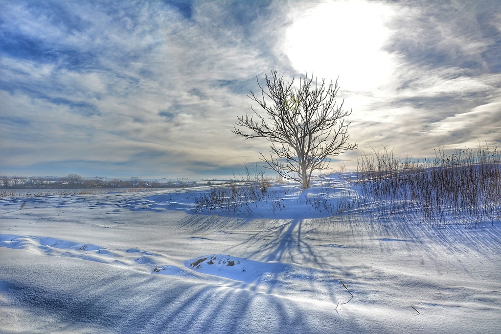 winter-1.jpg Поселок Федино зимой