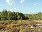 Закончена расчистка участков