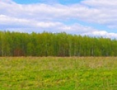 Недвижимость за городом: достоинства и основные тенденции
